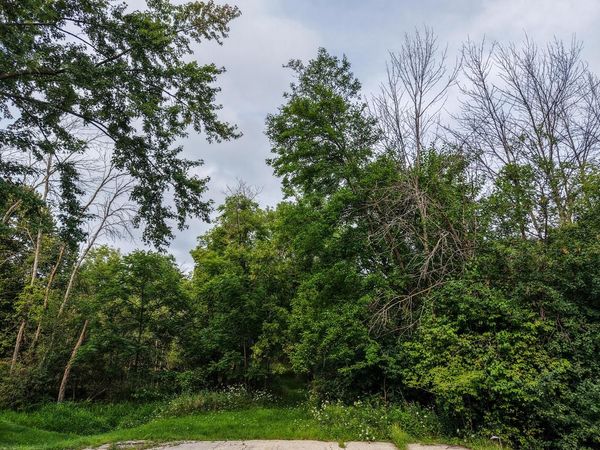 Lt1 BETTERWAY DRIVE, Mayville, WI 53050