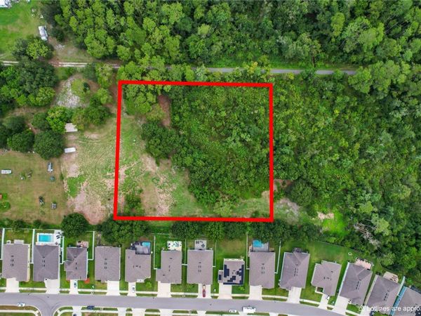 29244 SANIBEL DRIVE, WESLEY CHAPEL, FL 33544