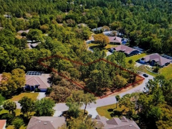 10 BONNIE DRIVE , HOMOSASSA, FL 34446