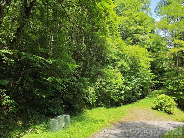 Lot 17 Cocker Spaniel Court , Whittier, NC 28789