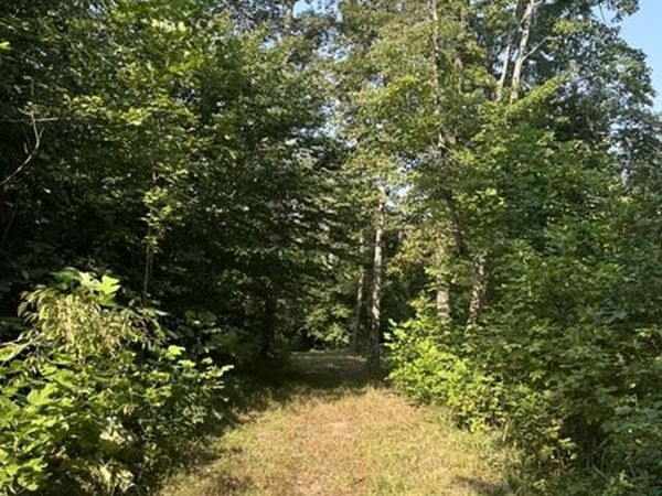 0 Holly Branch Run Road , Magnolia, KY 42757