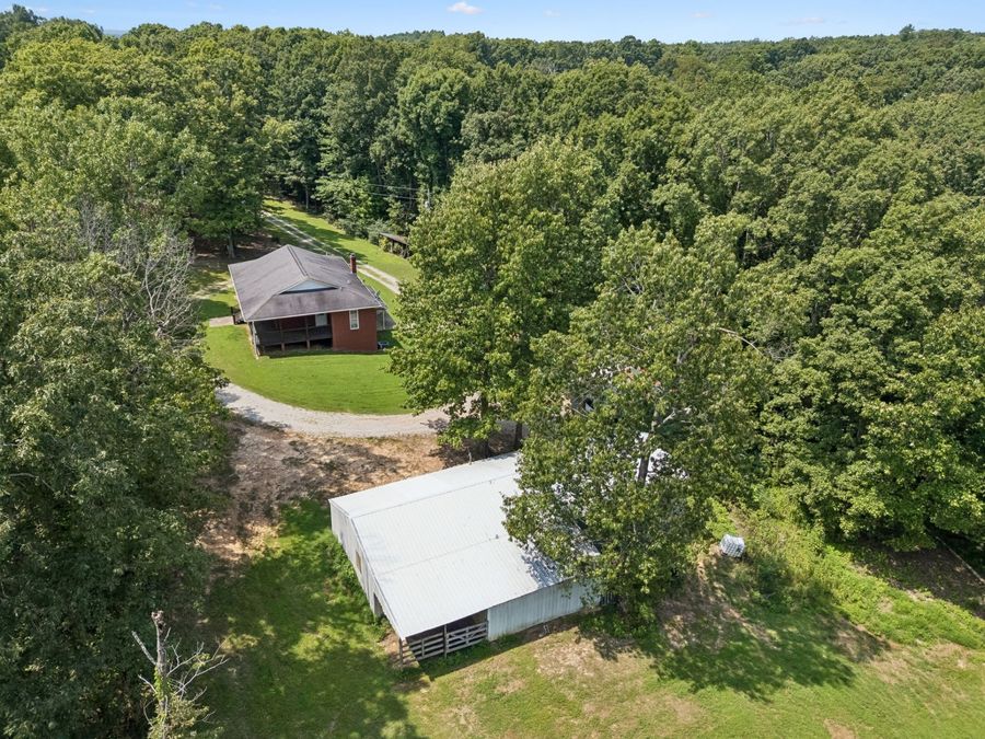 Property Image 41