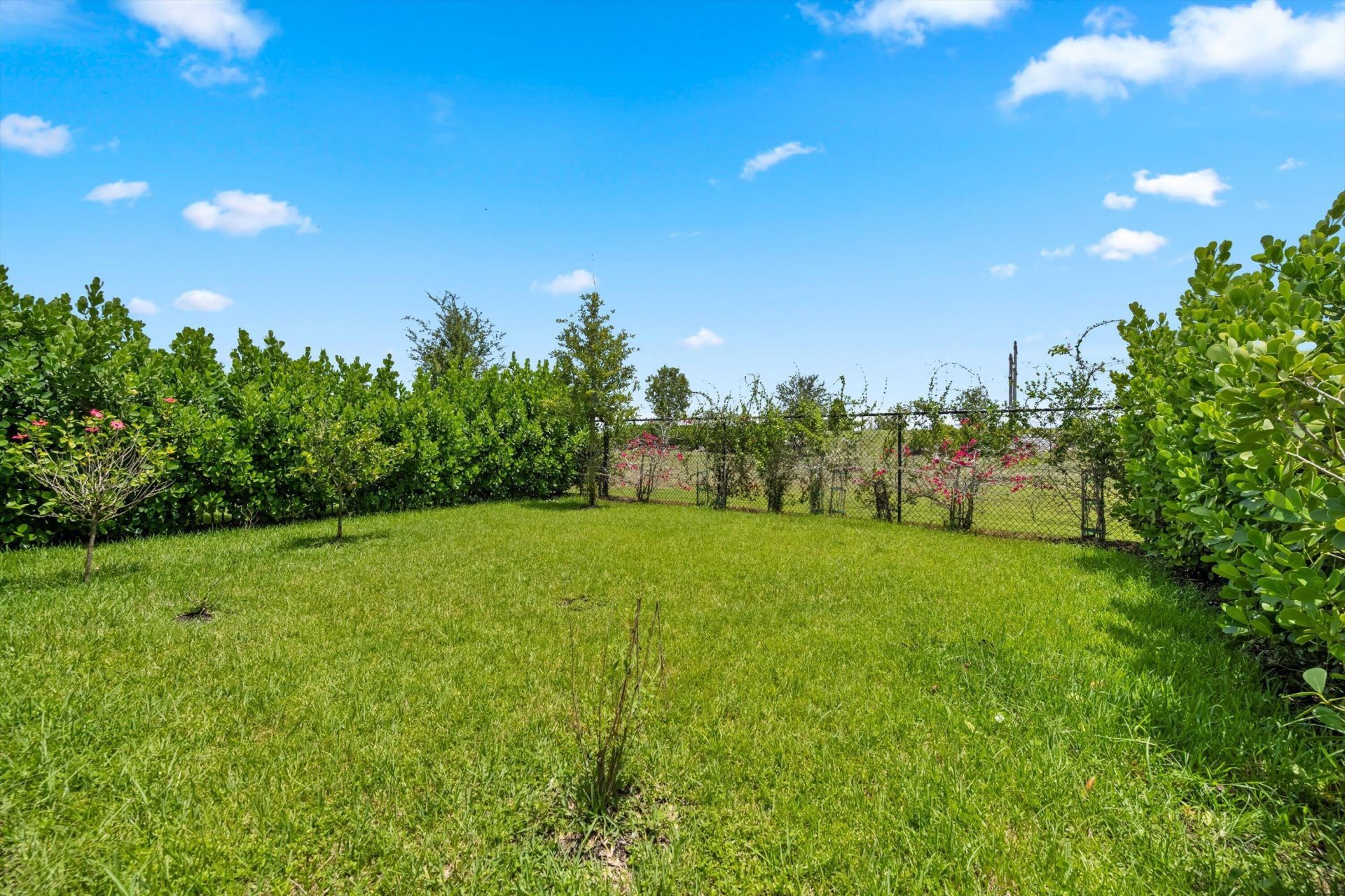 1282 Tangled Orchard Trace, Loxahatchee, FL 33470 Photo