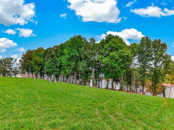 Lot 41 English Mountain, White Pine, TN 37890