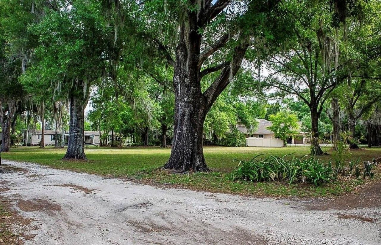 13815 Plainview Road, Unit Lot 1, Odessa, FL 33556 Photo