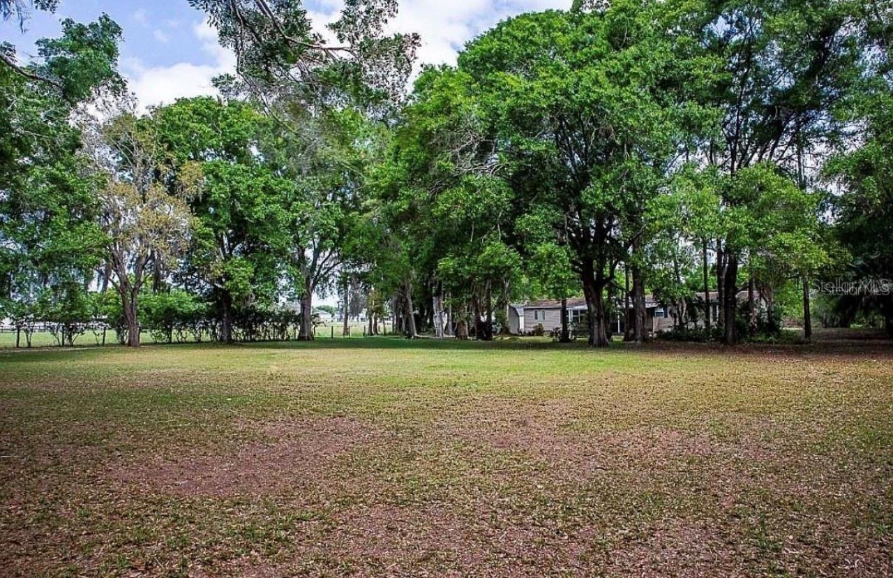 13815 Plainview Road, Unit Lot 1, Odessa, FL 33556 Photo