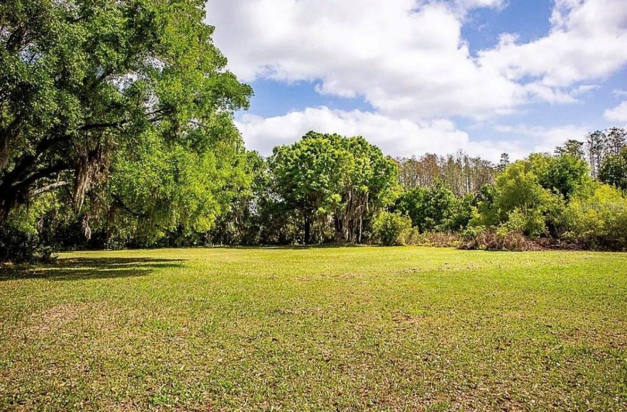 13815 Plainview Road, Unit Lot 1, Odessa, FL 33556 Photo