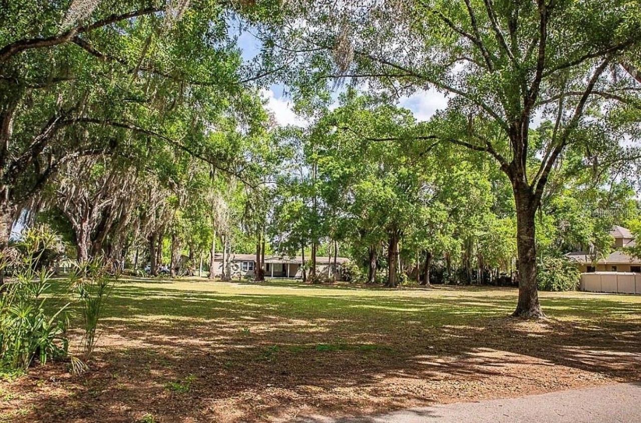 13815 Plainview Road, Unit Lot 1, Odessa, FL 33556 Photo