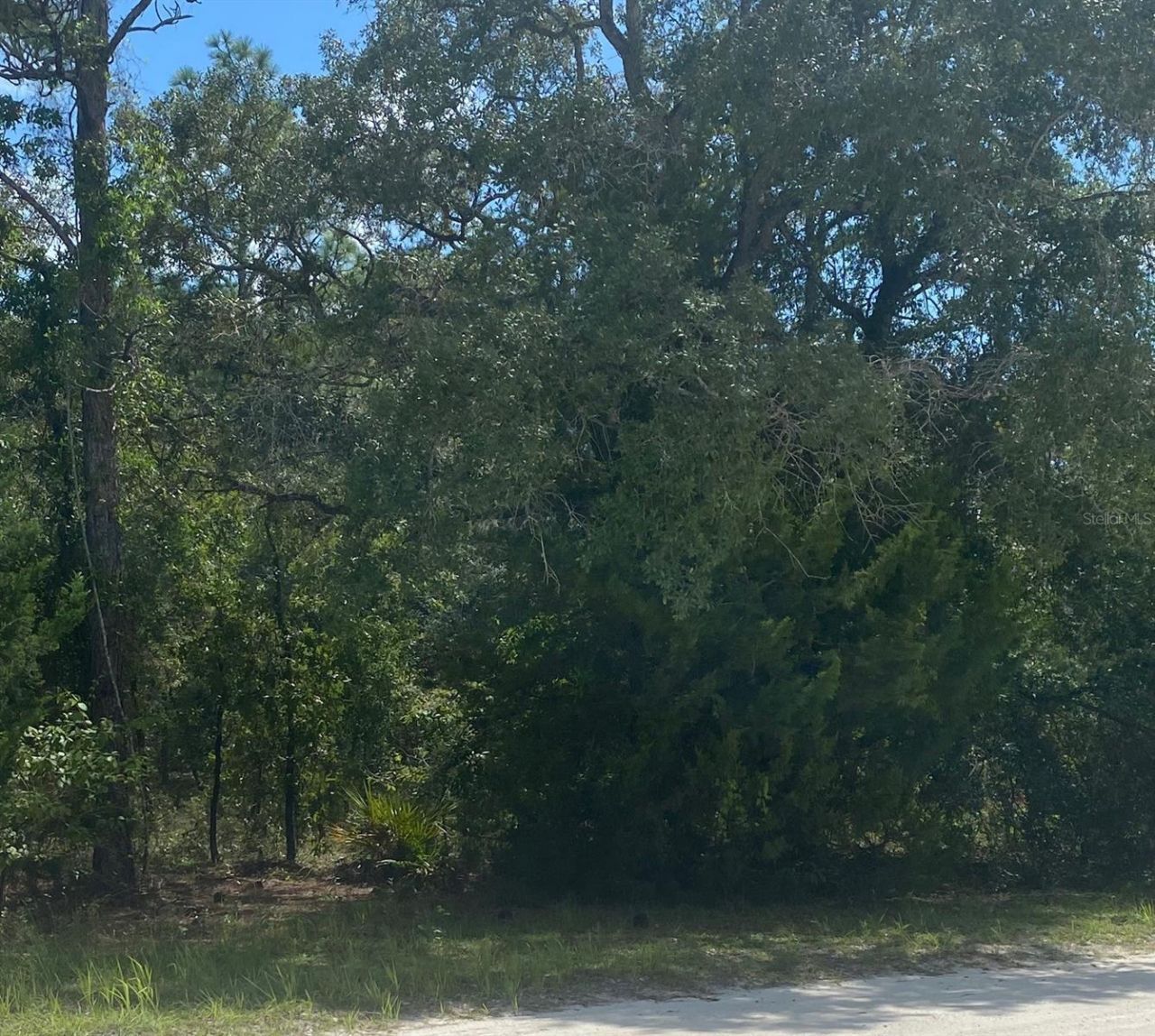 Peaceful Avenue , Weeki Wachee, FL 34614 Main Photo