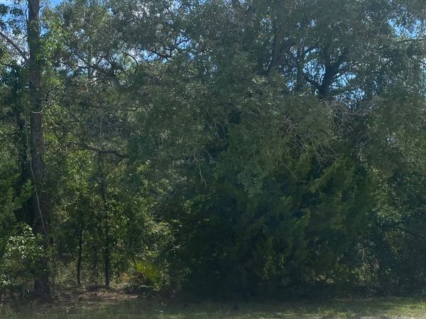 PEACEFUL AVENUE , WEEKI WACHEE, FL 34614