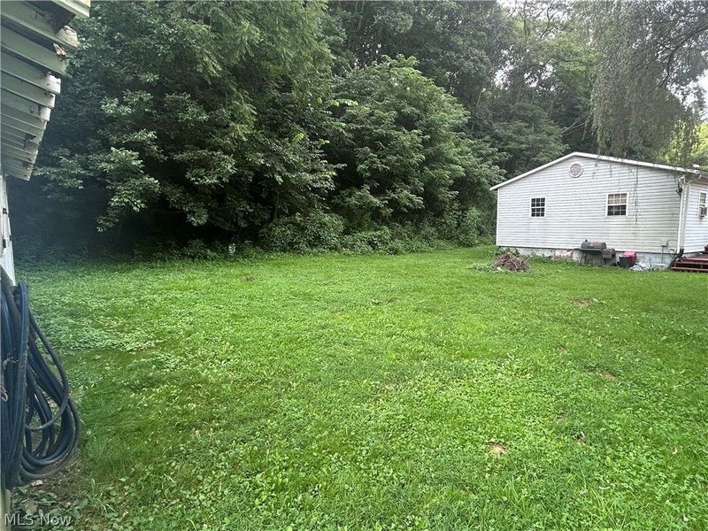 48013 E Brown Peavine Road, Jacobsburg, OH 43933 Photo 7