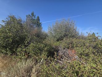 0 Lakeland Road Chiloquin, OR 97624