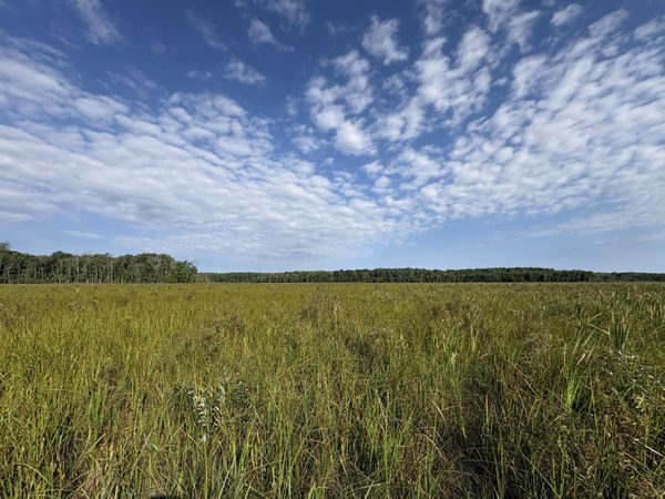 XXX Meadowview Road , Brainerd, MN 56401