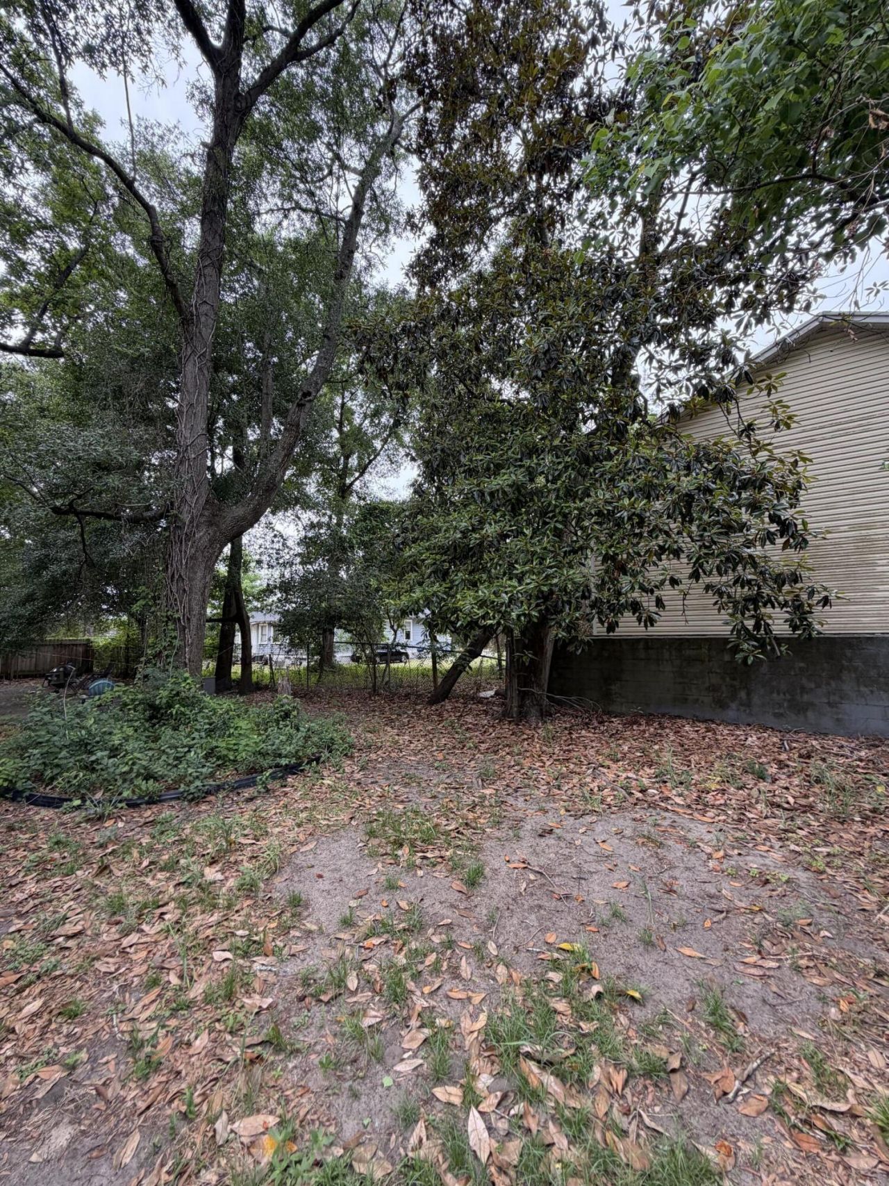 3436 Osceola Street Photo 33