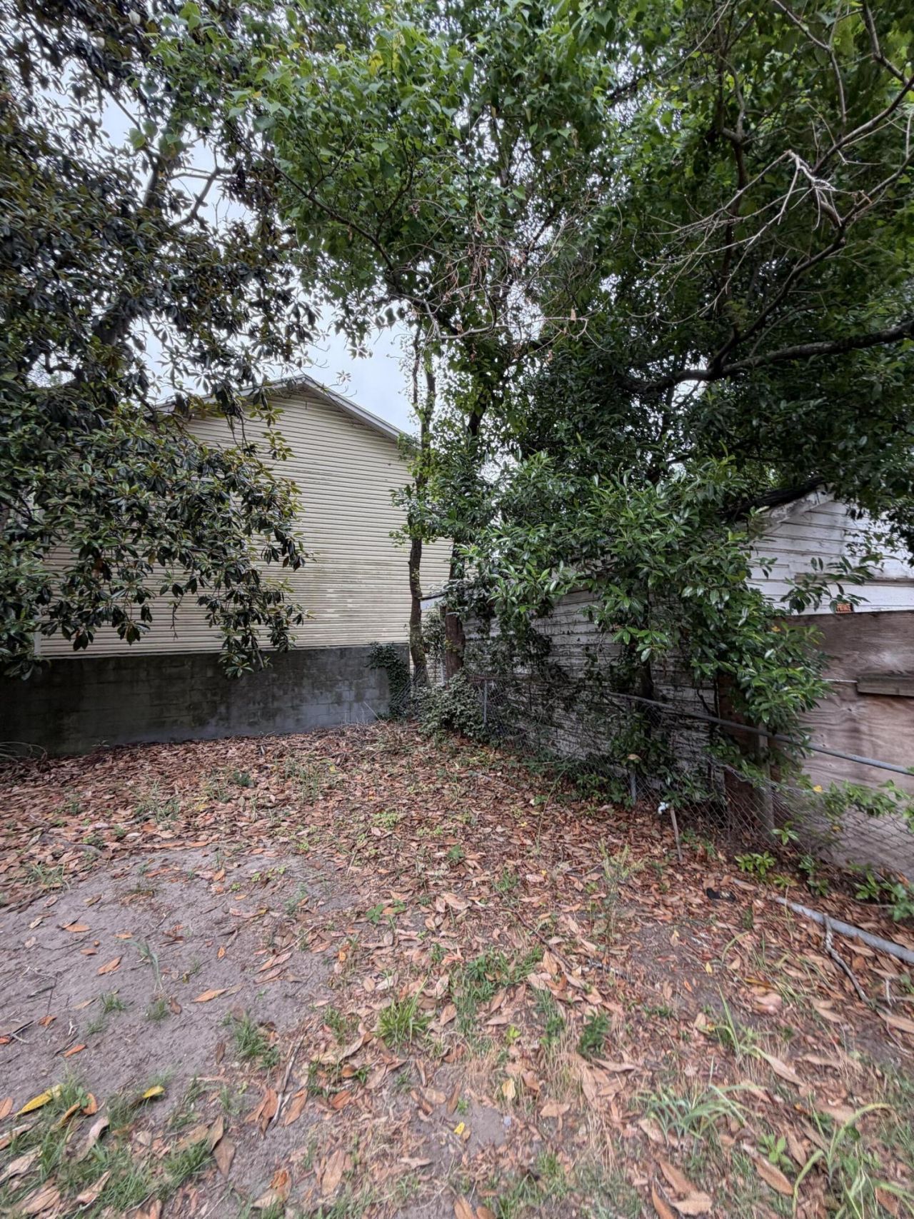 3436 Osceola Street Photo 35