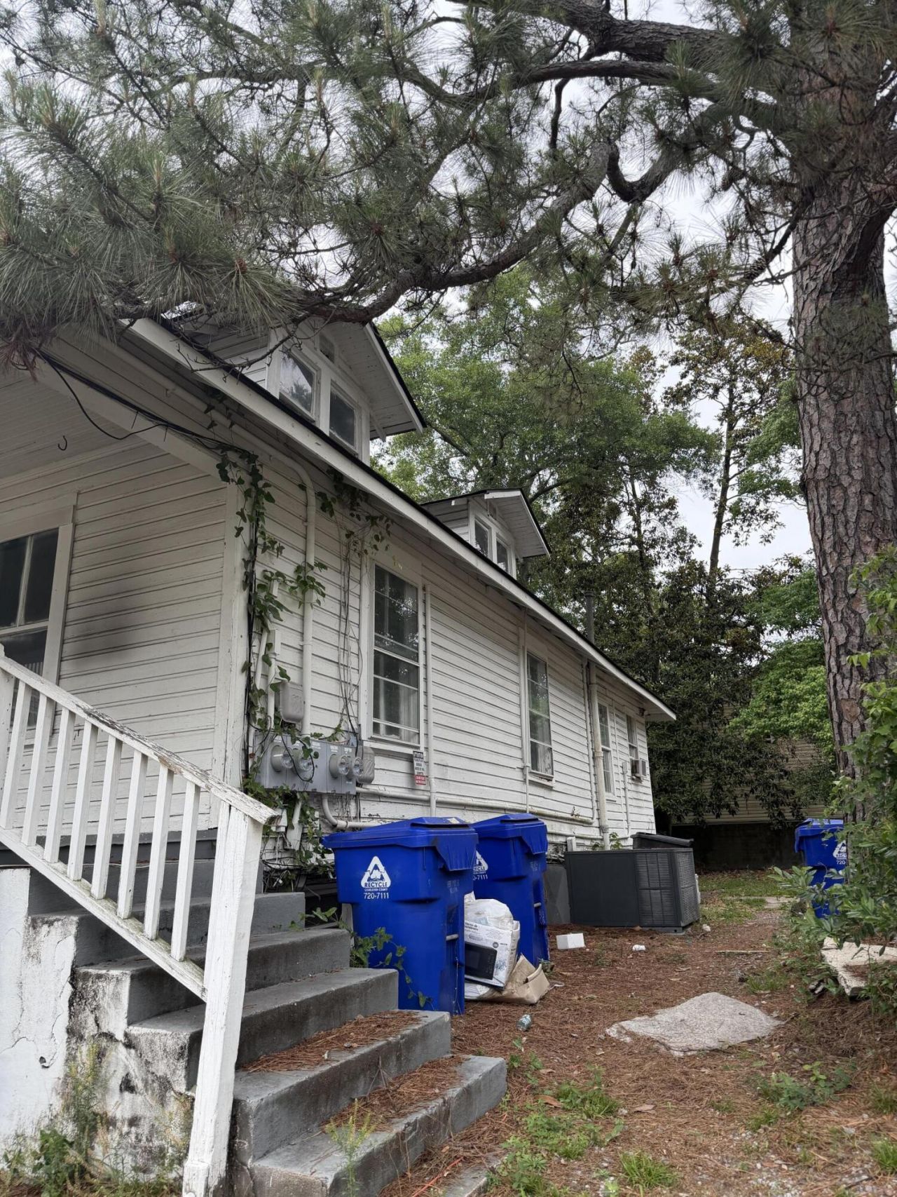 3436 Osceola Street Photo 6