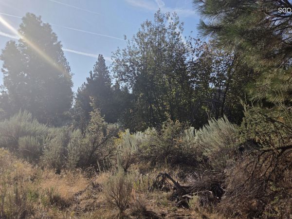 0 Palouse Lane, Unit Lot 5, Chiloquin, OR 97624