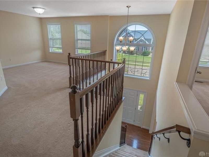 10049 Meadow Woods Lane, Washington Township, OH 45458 Photo 16