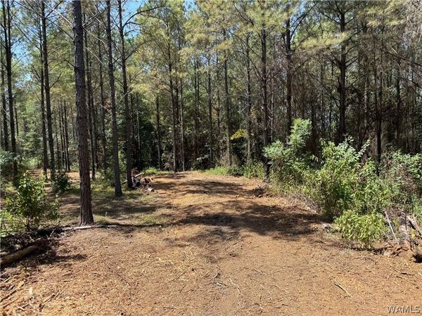 00 County Road 100, Fayette, AL 35555