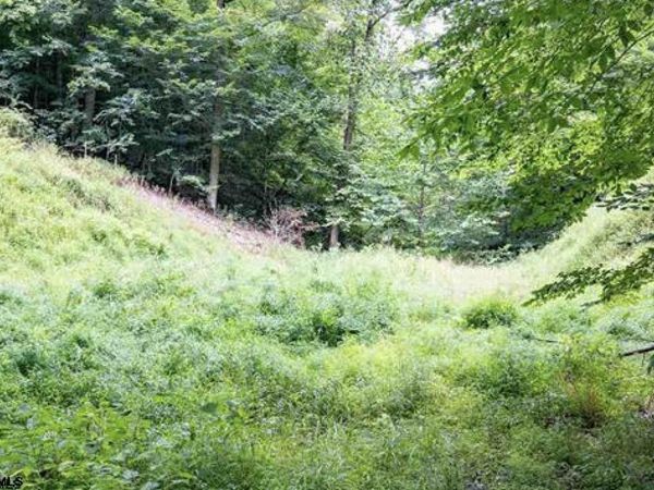 TBD Yellow House Lane, Elkins, WV 26241