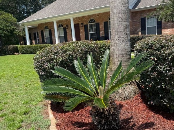 7853 PRESERVATION, Tallahassee, FL 32312