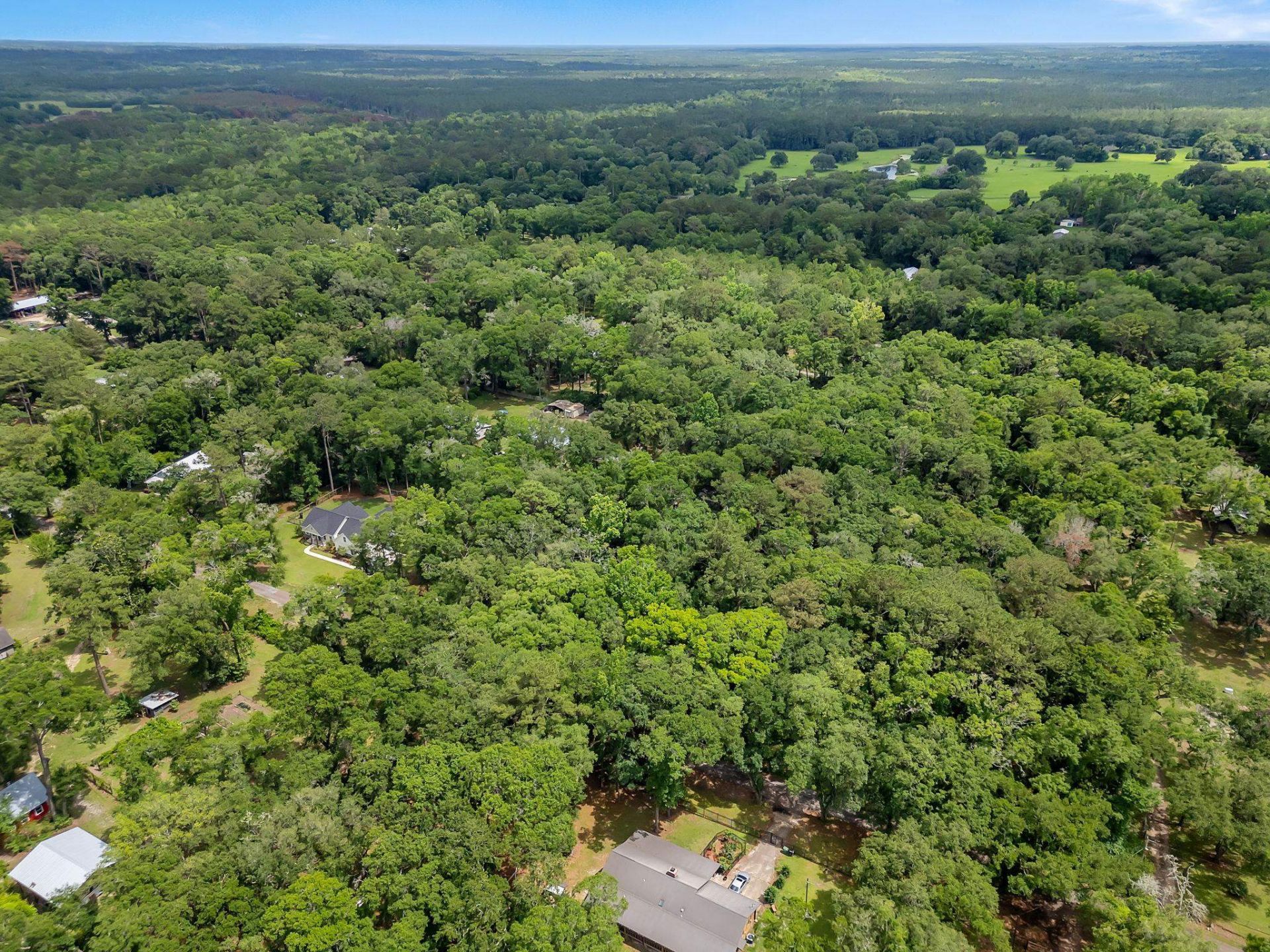 9725 N Horseshoe Road , Tallahassee, FL 32317 Photo