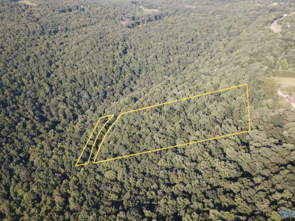 4.88 Acres Butler Mill Road, Grant, AL 35747