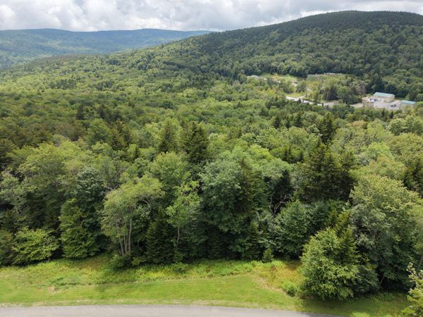 8 Silver Mountain, Snowshoe, WV 26209