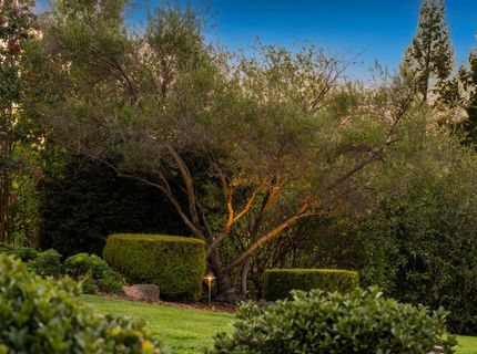 124 Murray Ct, El Dorado Hills, CA 95762 Photo