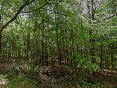 Tbd Long Branch Road, Greeleyville, SC 29056