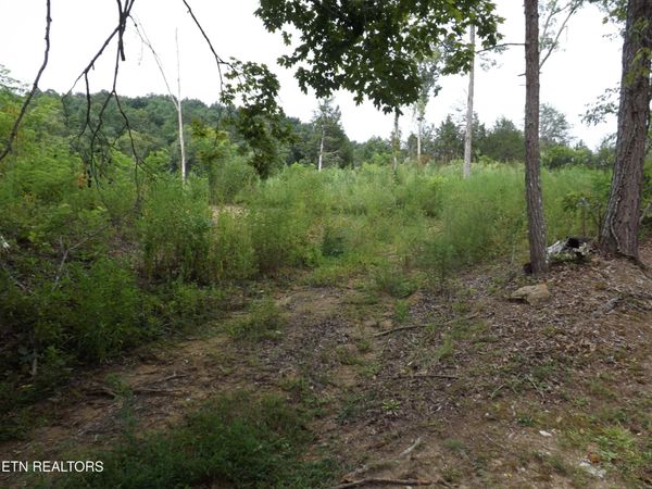 TBD Roy Thomas Lane, New Tazewell, TN 37825