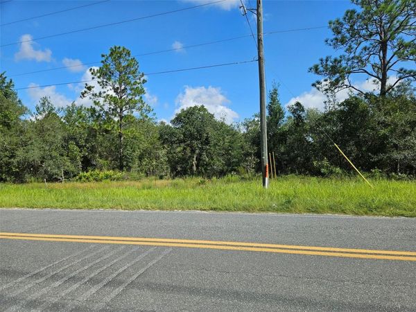 0000 NE 60TH STREET , BRONSON, FL 32621