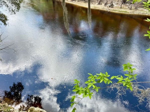 LOT31 SW 68TH DRIVE, Jasper, FL 32052
