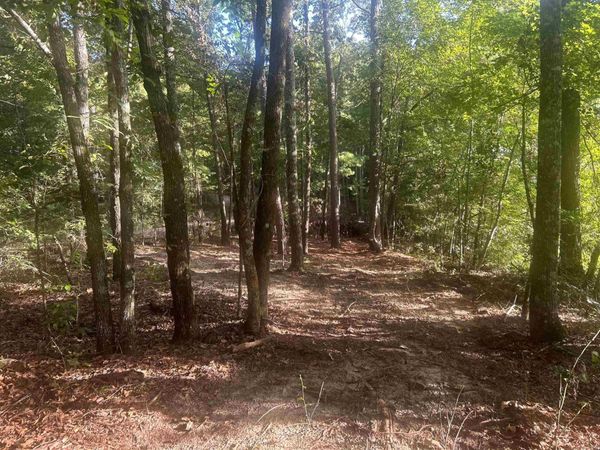 TBD Camden Lane , Amity, AR 71921