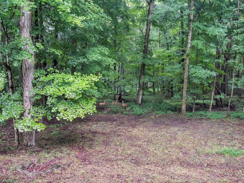 1550 Welsh Hills Road NE, Granville, OH 43023 Photo 43