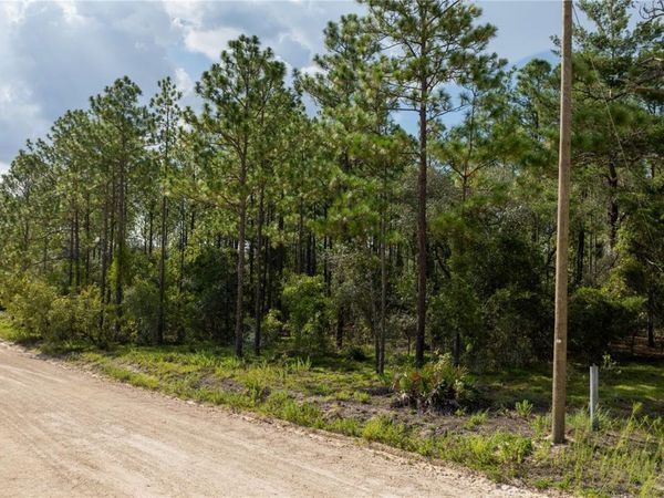 00 NE 49TH STREET , WILLISTON, FL 32696