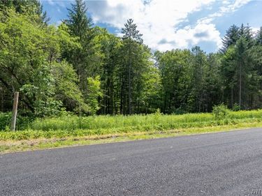 Abbott Hill Road, Concord, NY 14141