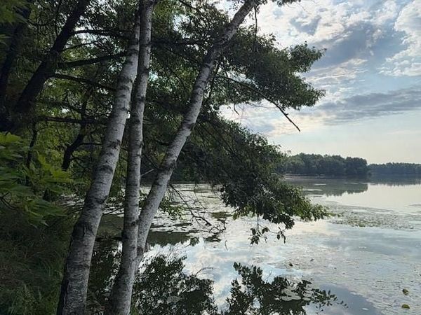 Lot 4 9 3/4 Avenue, Chetek, WI 54728