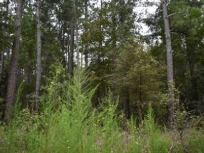 Tbd Augusta Lane, Andrews, SC 29510