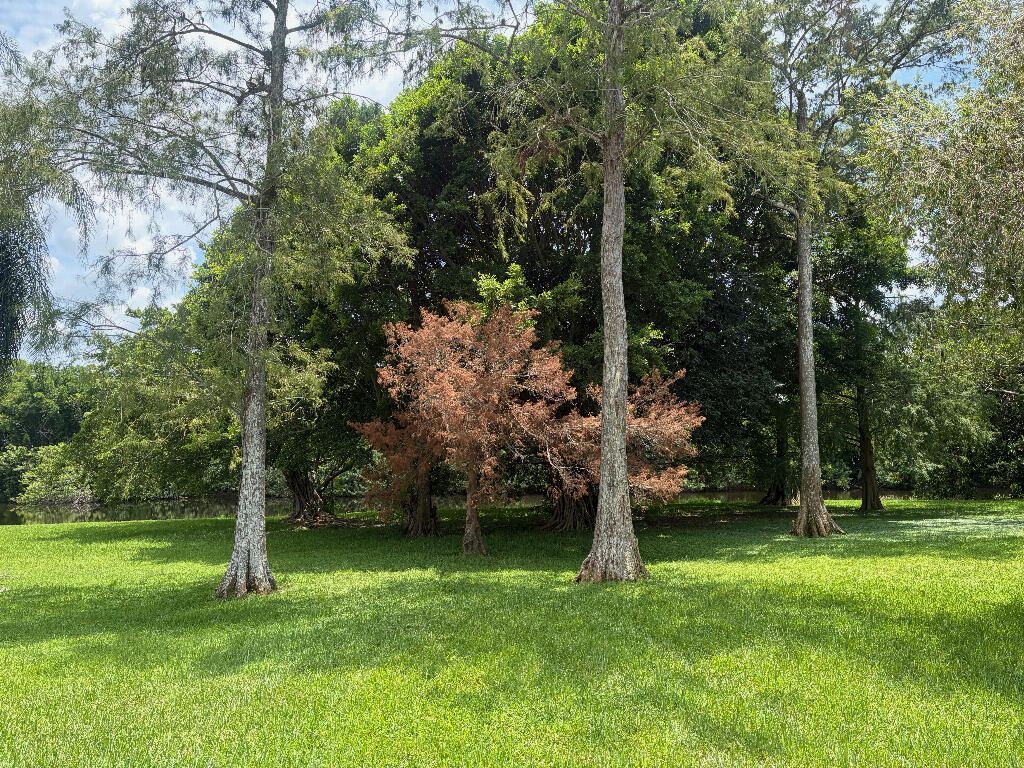 1551 S Club Drive, Wellington, FL 33414 Photo