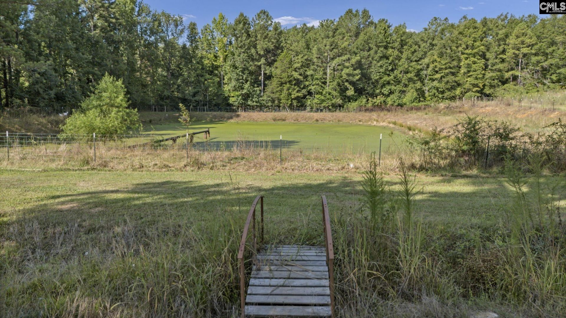 3176 Ridge Spring Highway  Photo 79