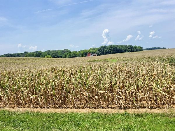 1577 Adairville Road , Franklin, KY 42134