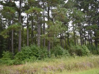 Tbd Burgess Road, Greeleyville, SC 29056