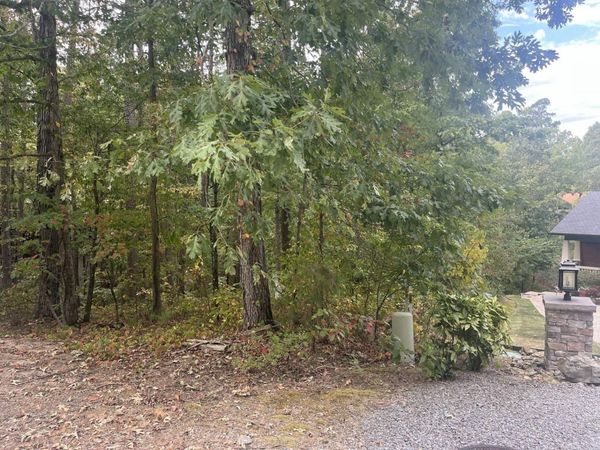 14 Guindola Circle , Hot Springs Village, AR 71909