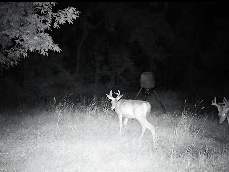 0 TR 300, Davis Ridge Road , Caldwell, OH 43724 Photo 17