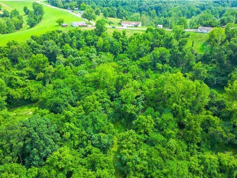 0 TR 300, Davis Ridge Road , Caldwell, OH 43724 Photo 9