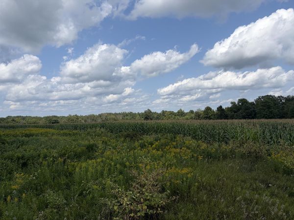 73 45th Avenue, Clayton, WI 54004