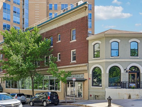 111 N Hamilton Street, Unit 203, Madison, WI 53703