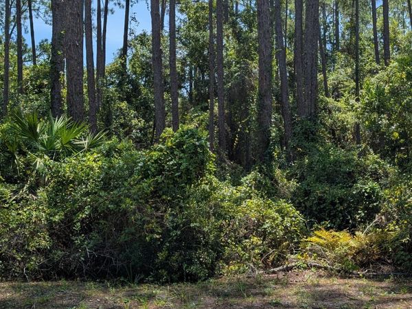 121 SE 1st Street, Georgetown, FL 32139
