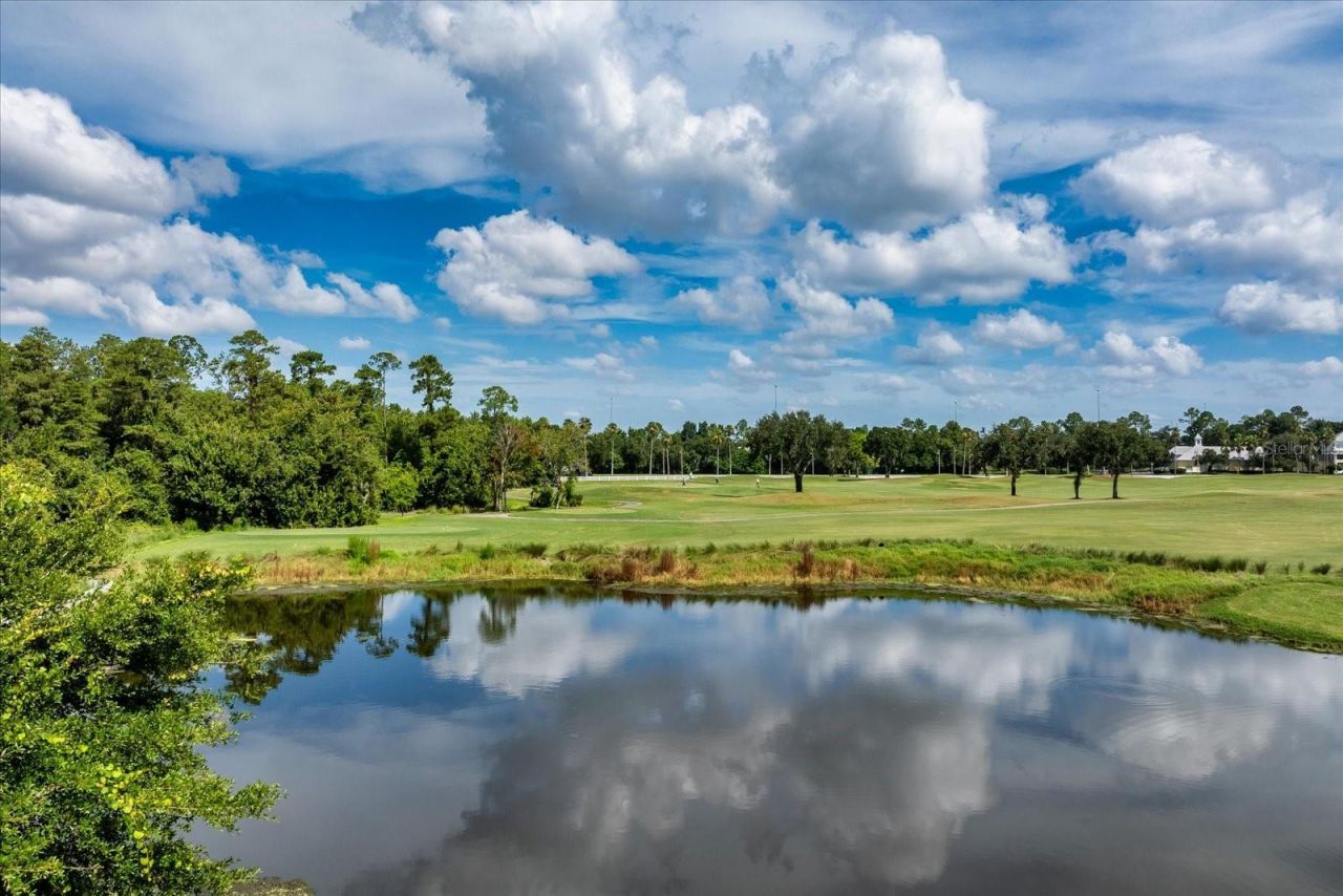 915 Jasmine Street, Celebration, FL 34747 Photo